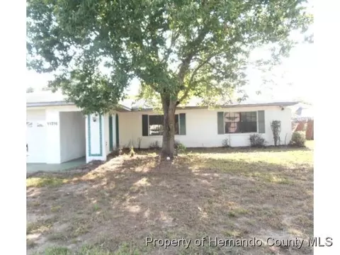 11316 Riddle Dr, Spring Hill, FL 34609 photo 1