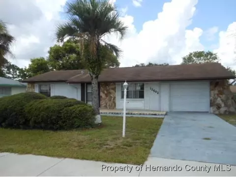 12502 Elgin Blvd, Spring Hill, FL 34609 photo 1