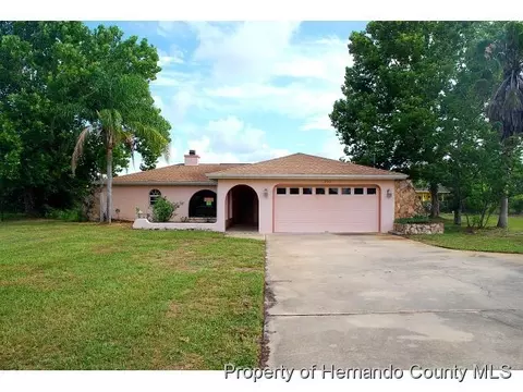 207 Planter Rd, Spring Hill, FL 34606 photo 1