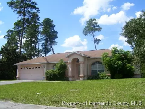 9196 Northcliffe Blvd, Spring Hill, FL 34606 photo 1