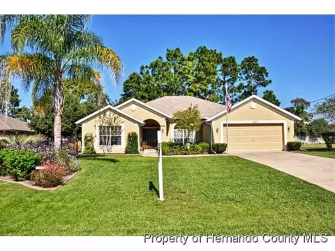 11433 Beechdale Ave, Spring Hill, FL 34608 photo 1