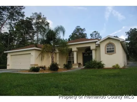 10046 Elgin Blvd, Spring Hill, FL 34608 photo 1
