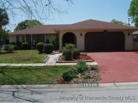 16129 Tree Line Dr, Hudson, FL 34667 photo 1