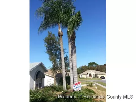1165 Divot Ct, Spring Hill, FL 34608 photo 1