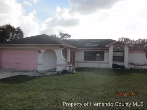 12034 Elgin Blvd, Spring Hill, FL 34608 photo 1