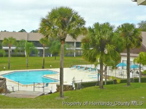 6413 River Lodge Ln, Weeki Wachee, FL 34607 photo 1