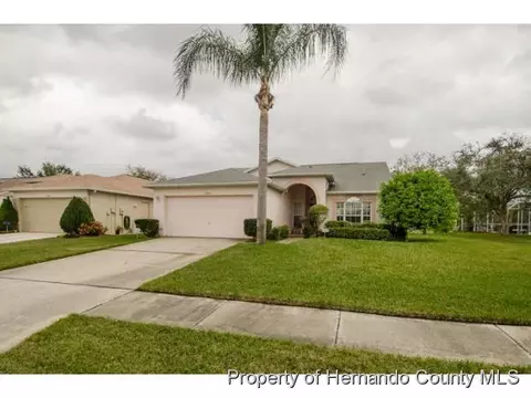 1783 Split Fork Dr, Oldsmar, FL 34677 photo 1