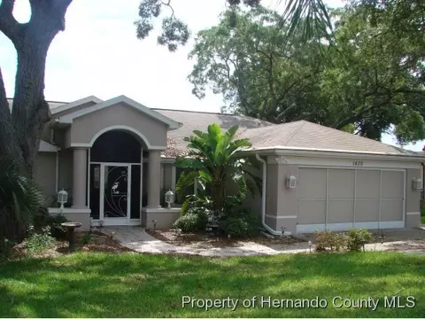 1430 Ivydale Rd, Spring Hill, FL 34606 photo 1