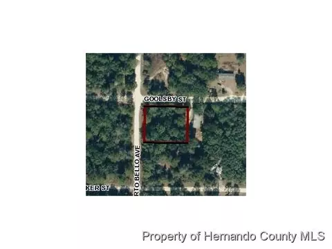 0 Goolsby St, Webster, FL 33597 photo 1