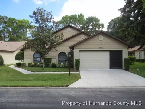 6705 Oak Cluster Cir, Spring Hill, FL 34606 photo 1