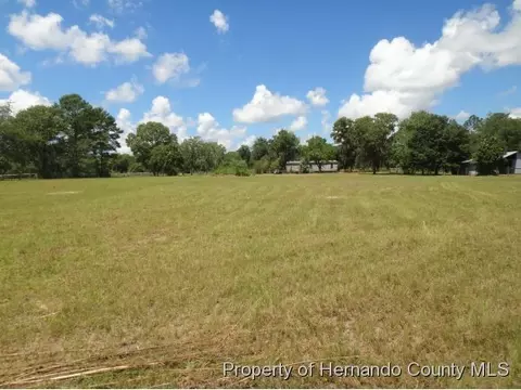 18326 Edgewood Dr, Spring Hill, FL 34610 photo 1