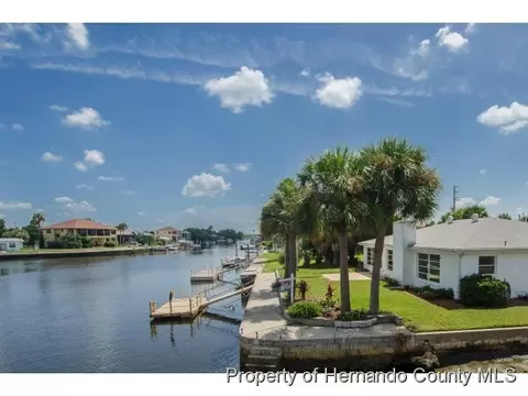 3313 Flamingo Blvd, Hernando Beach, FL 34607 photo 1