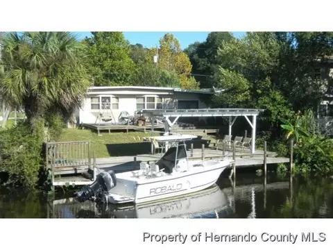 7285 Arbordale Dr, Weeki Wachee, FL 34607 photo 1
