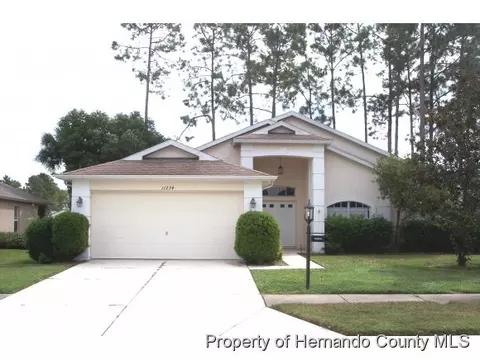 11234 Windrush Cir, Hudson, FL 34667 photo 1