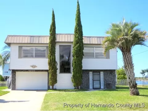 3425 Crape Myrtle Dr, Hernando Beach, FL 34607 photo 1