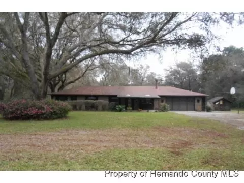 7344 Willoughby Dr, Webster, FL 33597 photo 1