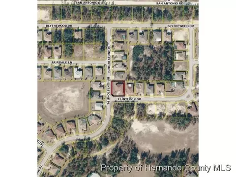 13665 Flintlock Dr, Spring Hill, FL 34609 photo 1