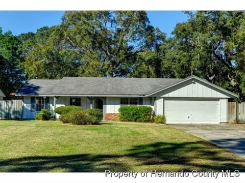 1527 Waterfall Dr, Spring Hill, FL 34608 photo 1