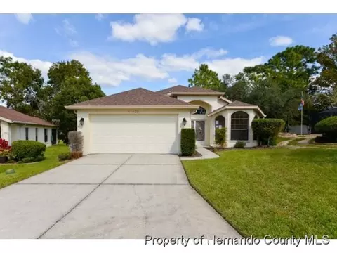 11425 Billingham Blvd, Spring Hill, FL 34609 photo 1