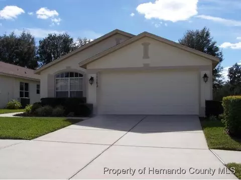 11162 Heathrow Ave, Spring Hill, FL 34609 photo 1