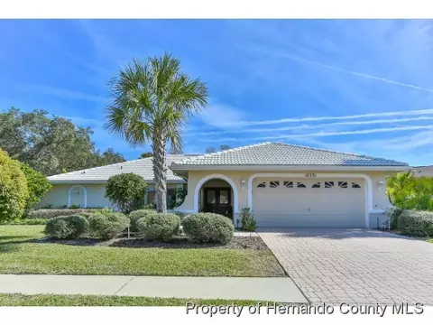 10331 Audie Brook Dr, Spring Hill, FL 34608 photo 1