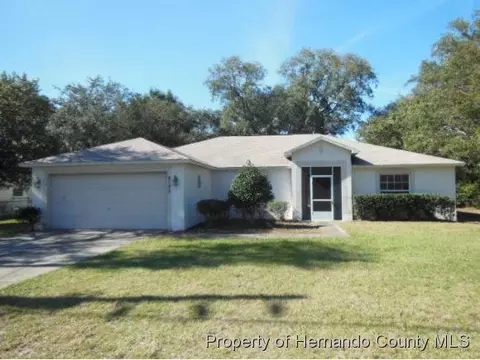 2143 Waterfall Dr, Spring Hill, FL 34608 photo 1