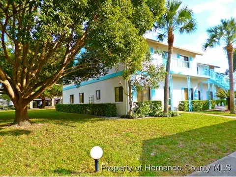 6500 River Run Blvd, Weeki Wachee, FL 34607 photo 1
