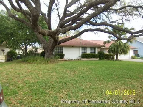2339 Danforth Rd, Spring Hill, FL 34608 photo 1