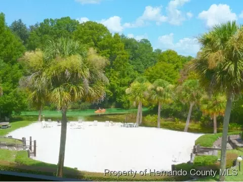 6450 River Run Blvd, Weeki Wachee, FL 34607 photo 1