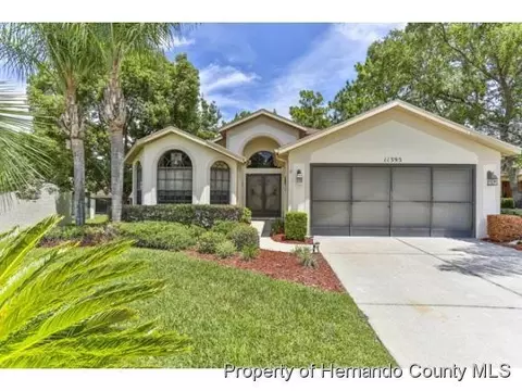 11395 Deercroft Ct, Spring Hill, FL 34609 photo 1