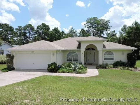 6022 Hugo Ave, Spring Hill, FL 34608 photo 1
