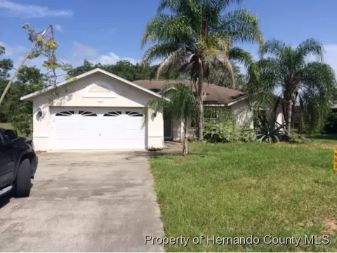 4064 Chadwick Ave, Spring Hill, FL 34609 photo 1