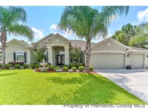 3440 Misty View Dr, Spring Hill, FL 34609 photo 1