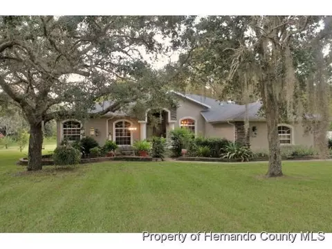 9399 May Gold Ln, Spring Hill, FL 34608 photo 1