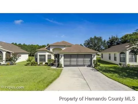 11425 Deercroft Ct, Spring Hill, FL 34609 photo 1