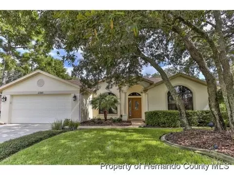 11345 Deercroft Ct, Spring Hill, FL 34609 photo 1