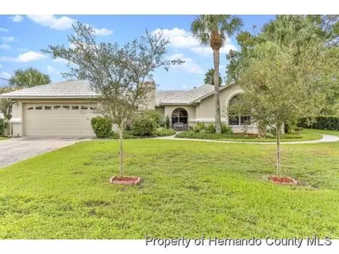 11024 Auburndale St, Spring Hill, FL 34609 photo 1