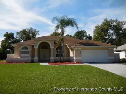 14032 Chippendale St, Spring Hill, FL 34609 photo 1