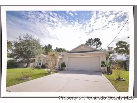 12238 Legend St, Spring Hill, FL 34609 photo 1