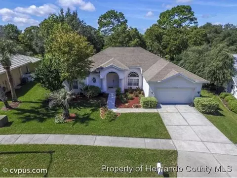 10342 Sandtrap Dr, Spring Hill, FL 34609 photo 1