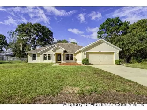 3313 Guava Ln, Spring Hill, FL 34609 photo 1