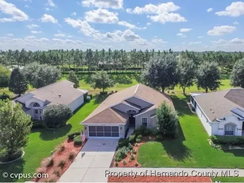 11362 Leeds Dr, Spring Hill, FL 34609 photo 1