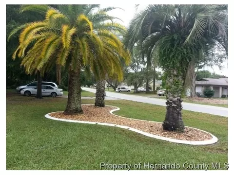 9099 Horizon Dr, Spring Hill, FL 34608 photo 1