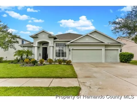 14107 Bensbrook Dr, Spring Hill, FL 34609 photo 1