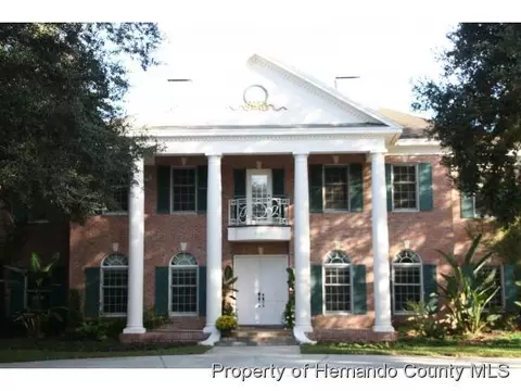 6159 New Osprey Pt, Spring Hill, FL 34607 photo 1