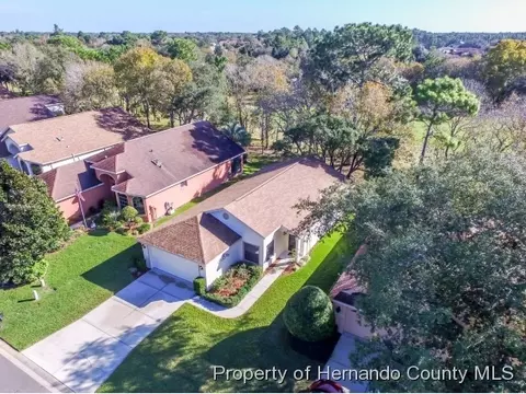 450 Candlestone Ct, Spring Hill, FL 34609 photo 1