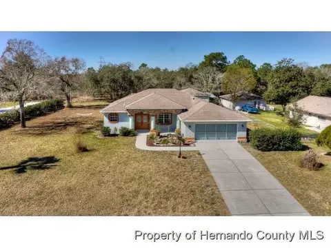 1117 Finland Dr, Spring Hill, FL 34609 photo 1