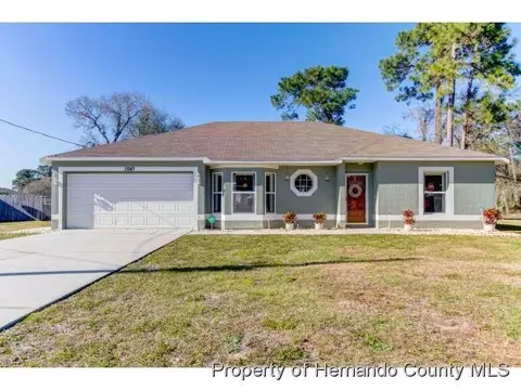 11243 Belltower St, Spring Hill, FL 34608 photo 1
