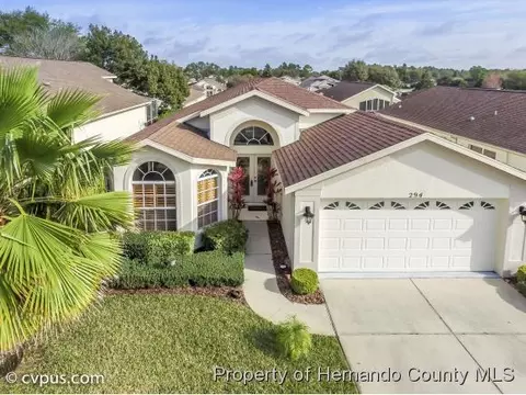 294 Quane Ave, Spring Hill, FL 34609 photo 1