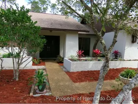 7435 Jomel Dr, Weeki Wachee, FL 34607 photo 1